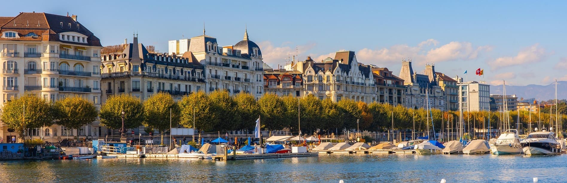 Réseau pour entreprises à Genève : matrice de décision pour choisir son club professionnel